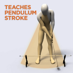 Promotes a pendulum stroke